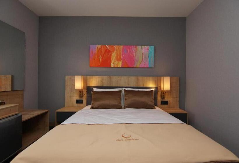 اتاق استاندارد با سرویس بهداشتی مشترک, Casa Constanza Hotel Garni