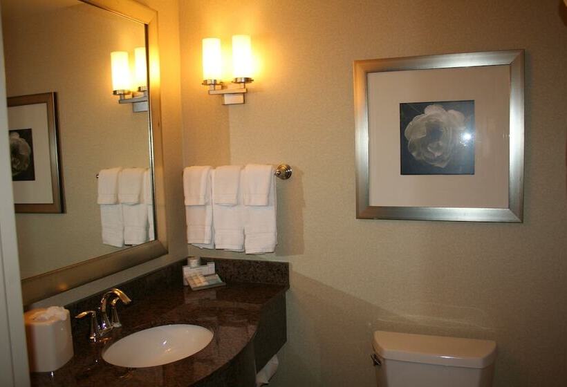 小型套房, Hilton Garden Inn Charlotte/concord