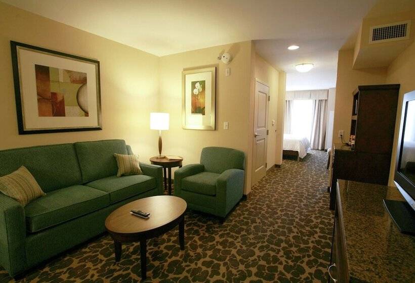 小型套房, Hilton Garden Inn Charlotte/concord