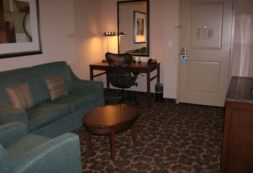 适合残疾人士使用的套间, Hilton Garden Inn Charlotte/concord
