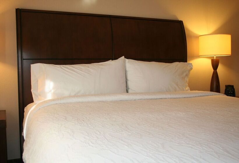 适合残疾人使用的标准间, Hilton Garden Inn Charlotte/concord