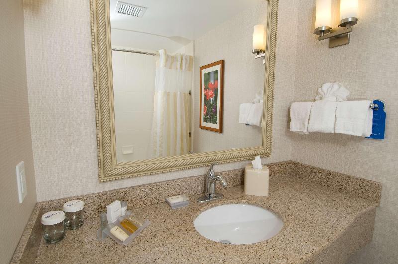 Люкс Кровать Кинг, Hilton Garden Inn Troy
