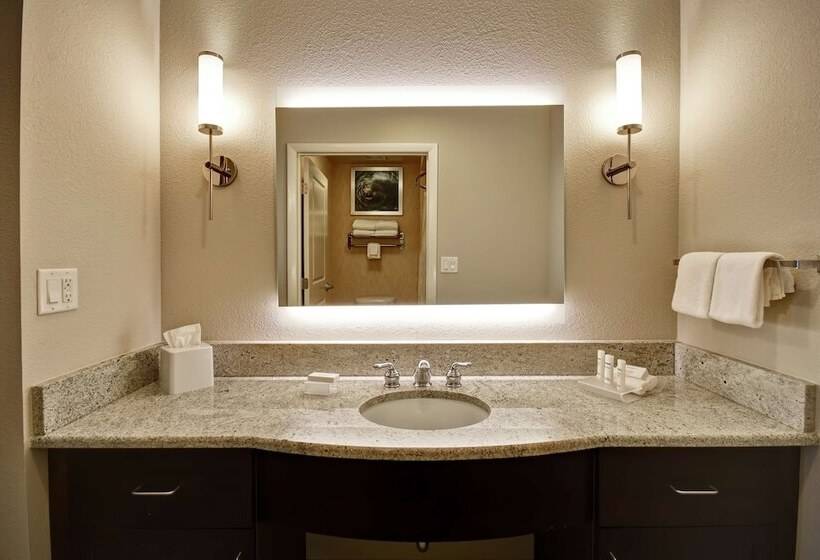 장애인을 위한 스위트, Homewood Suites By Hilton Tampaport Richey