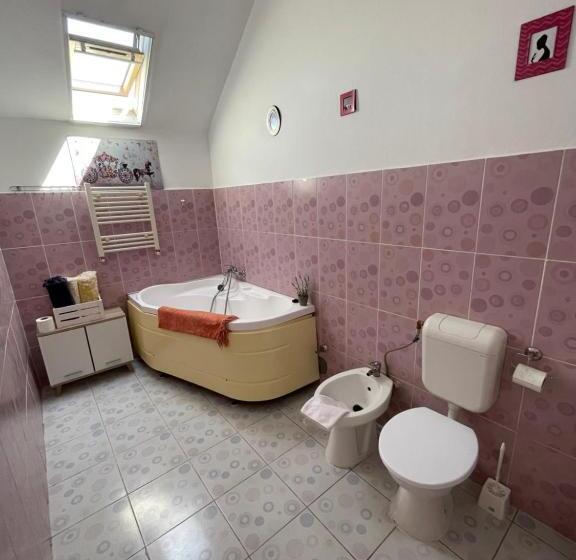 سوییت خانوادگی, Casa Trandafirilor