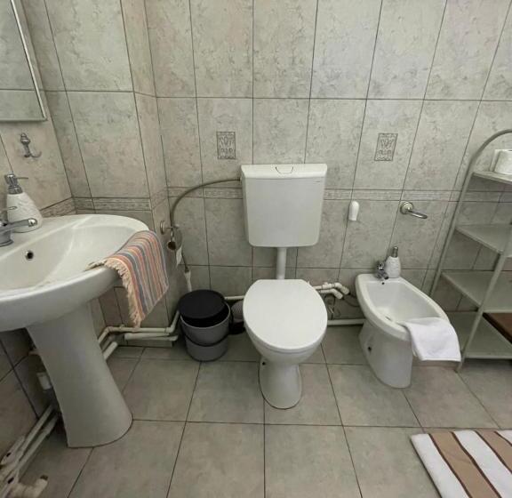 آپارتمان 2 خوابه, Casa Trandafirilor