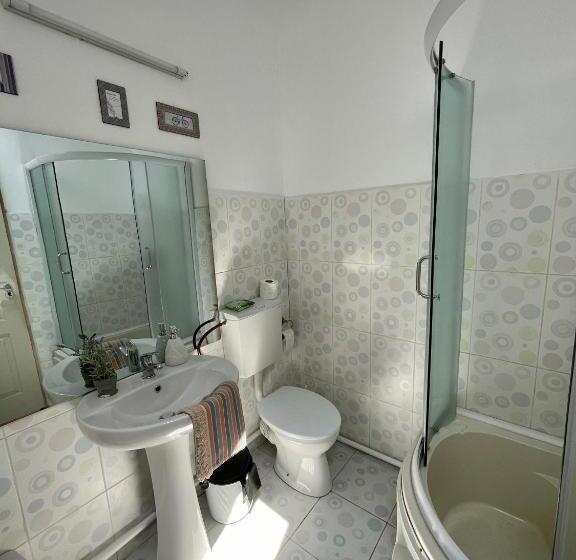 اتاق استاندارد, Casa Trandafirilor