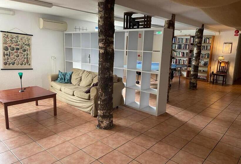 Номер Economy, Low Budget Bungalows