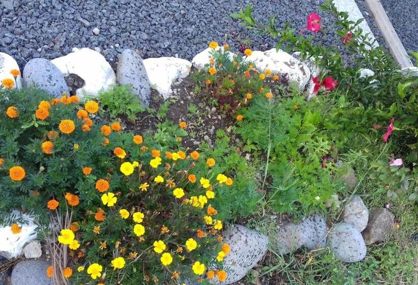 آپارتمان 1 خوابه با تراس, Bikamado