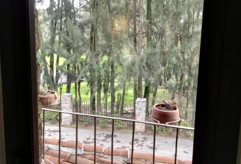 コンフォートトリプルルーム, Canaria