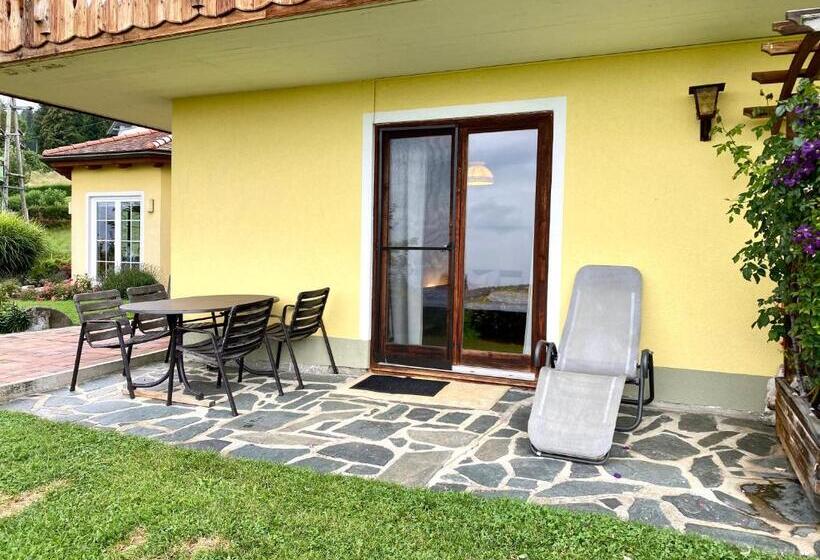 آپارتمان 1 خوابه با تراس, Pleschinhof