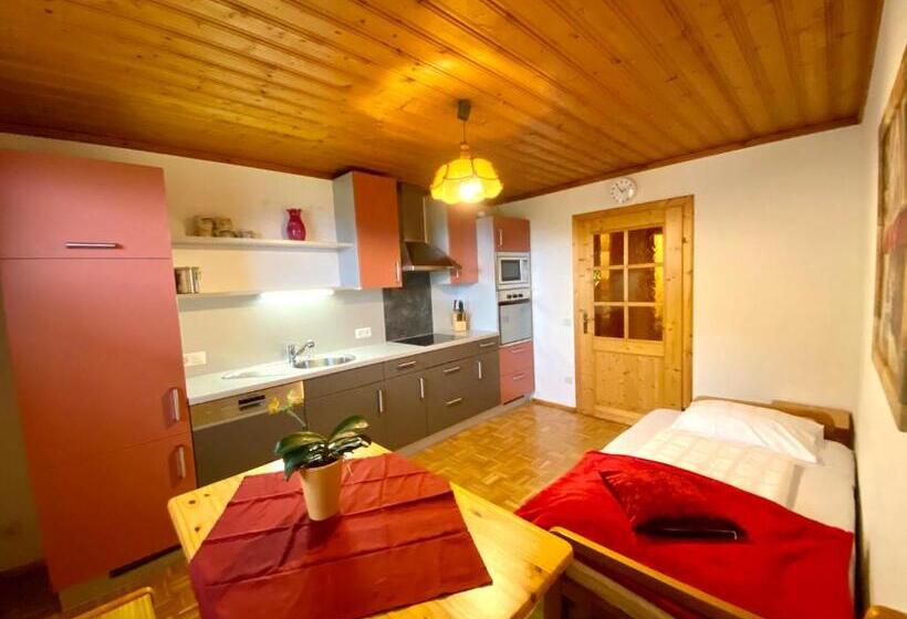 آپارتمان 1 خوابه با تراس, Pleschinhof