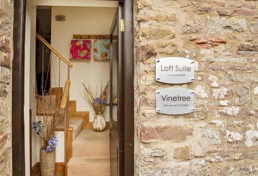 Люкс, Neuadd B&b Suites