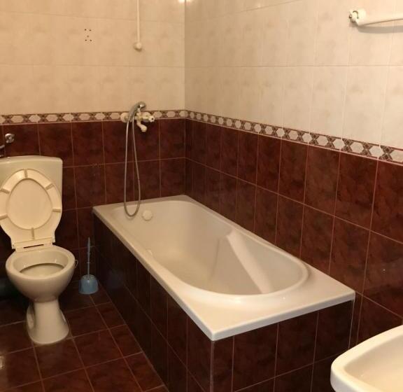 غرفة قياسية, Milena`s House