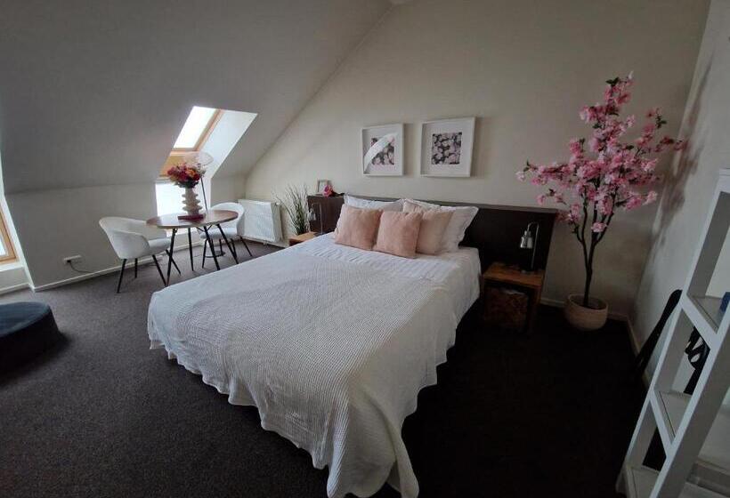 Номер Superior, Boutique Hotel De Raetskamer