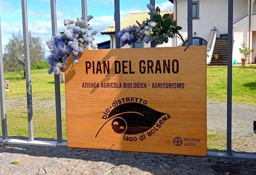 スタンダードルーム, Azienda Agricola Pian Del Grano