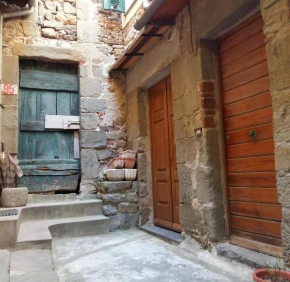 Номер Стандарт, La Ginestra