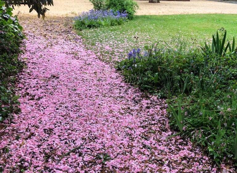 آپارتمان 1 خوابه با چشم‌انداز باغ, Au Rez De Jardin