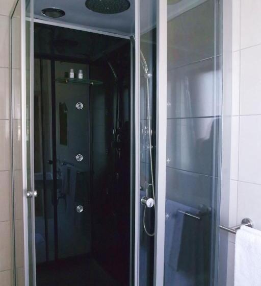 اتاق استاندارد یک نفره, Gaststätte Schwenksaal