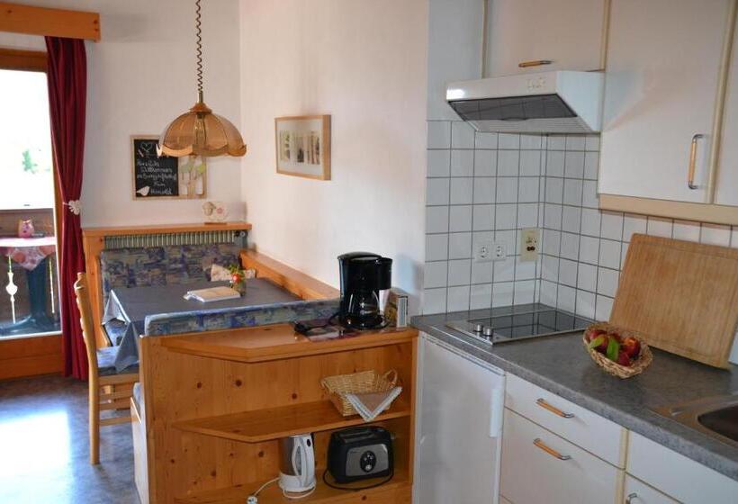 آپارتمان 1 خوابه با بالکن, Burggräflerhof