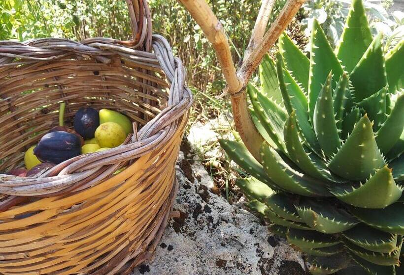 Номер Стандарт Вид на Сад, Casetta Vacanza In Campagna