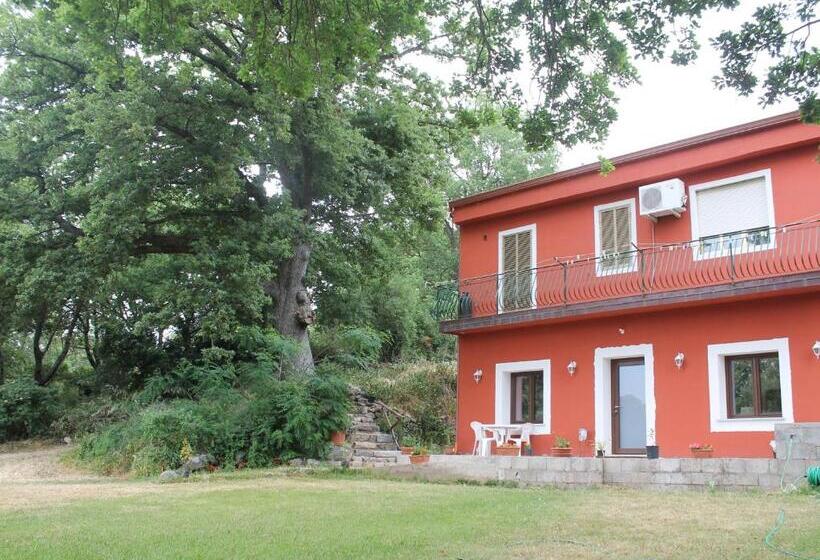 Номер Стандарт Вид на Сад, B&b Kikina
