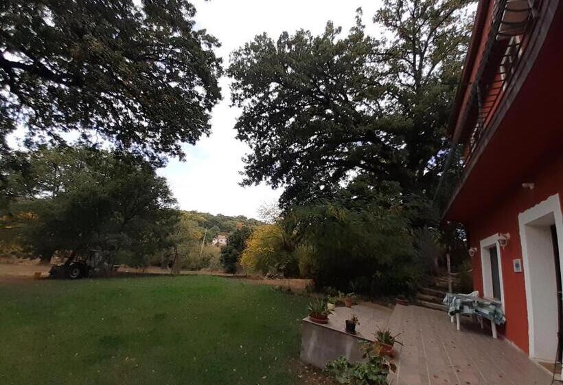 Номер Стандарт, B&b Kikina