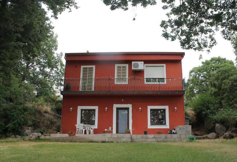Номер Стандарт, B&b Kikina