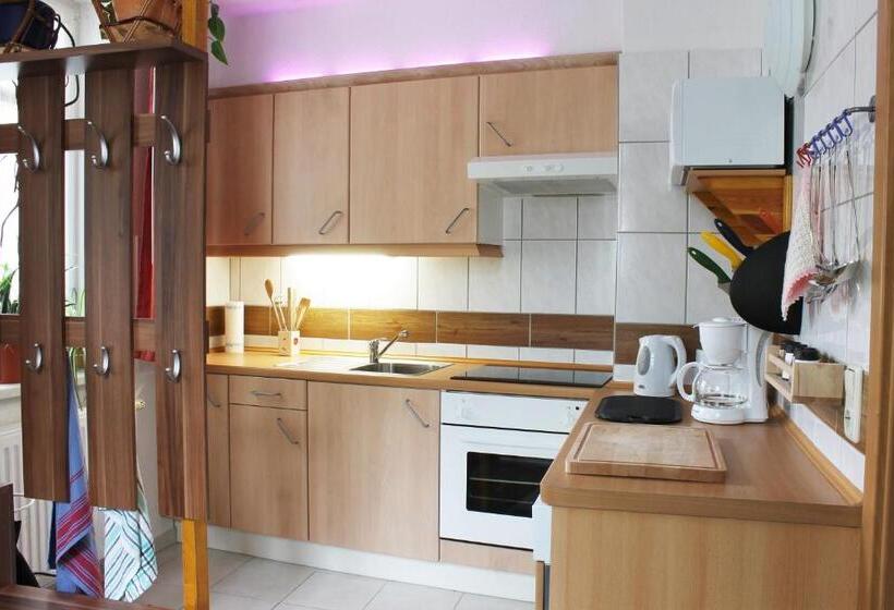 Апартаменты 1 Спальня, Pension Pieschen Dresden