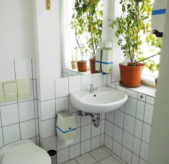 Номер Стандарт Совместная Ванная, Pension Pieschen Dresden