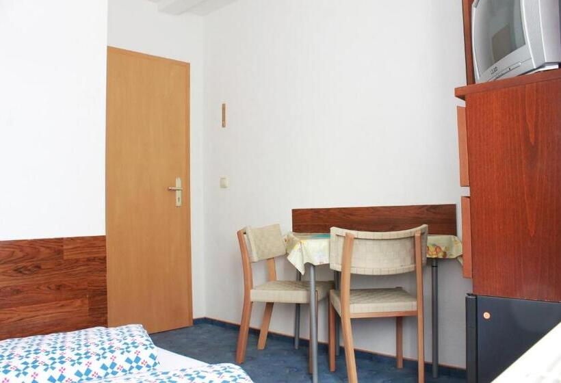 Номер Стандарт Совместная Ванная, Pension Pieschen Dresden