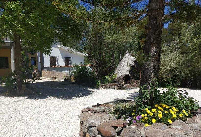 Quarto Estandar, B&b Littu
