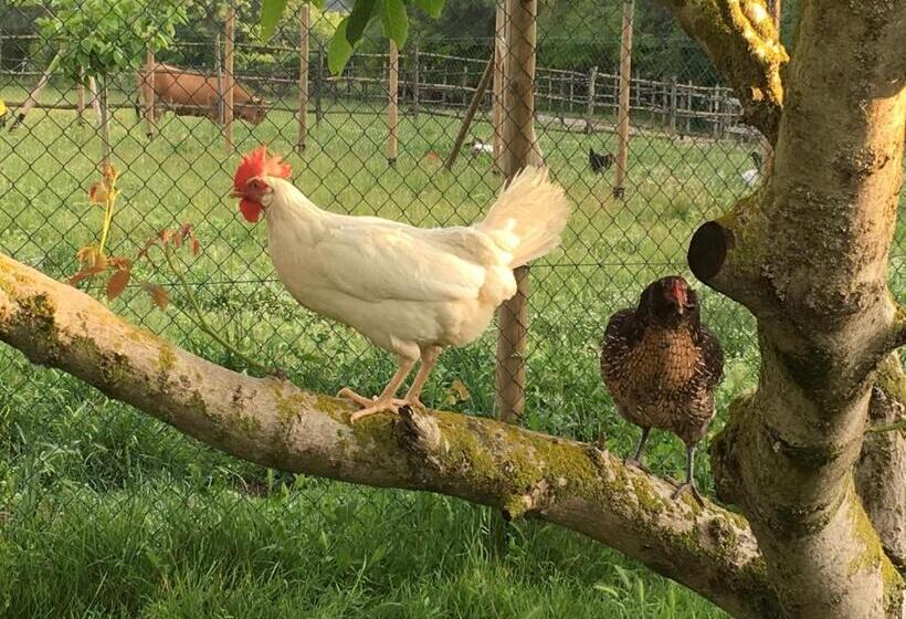 ２ベッドルームハウス, Capannacce Organic And Horse Farm