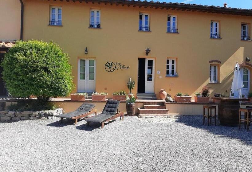 اتاق استاندارد چهار تخته, B&b Alloro
