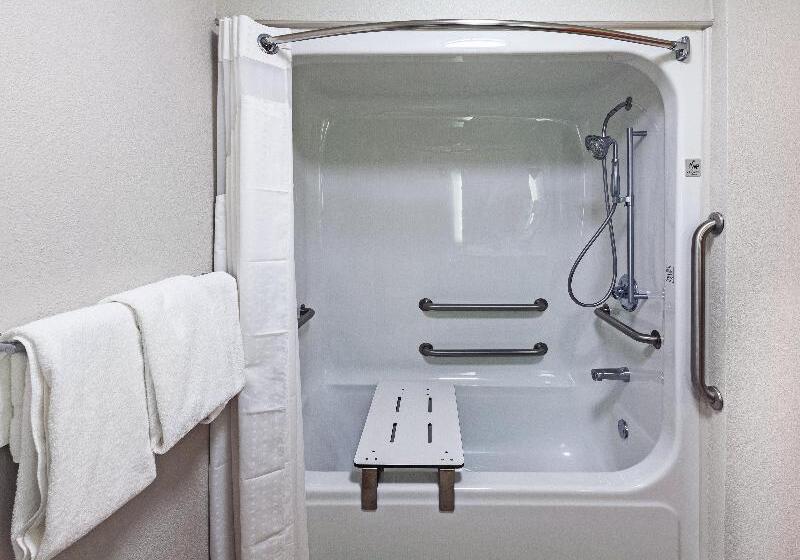 Стандартный Номер Кровать Кинг, Holiday Inn Express Hotel And Suites Jenks, An Ihg