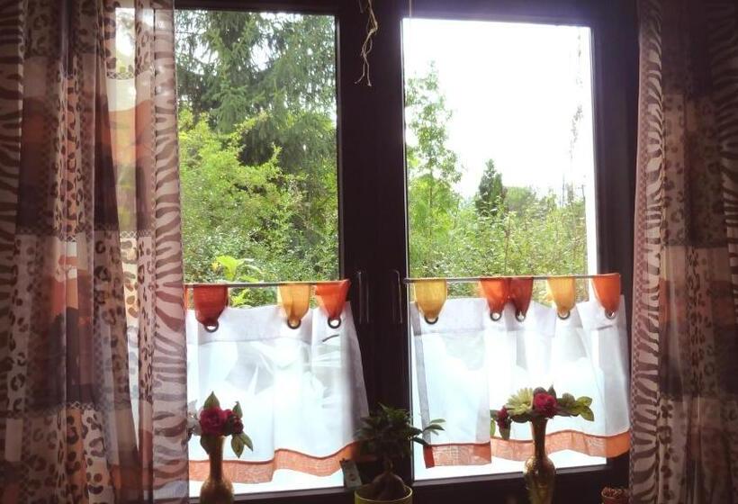 Апартаменты 1 Спальня, Ferienwohnung Direkt In Ilmenau