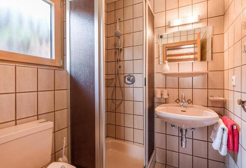 Номер Стандарт с Балконом, Gästehaus Geisler