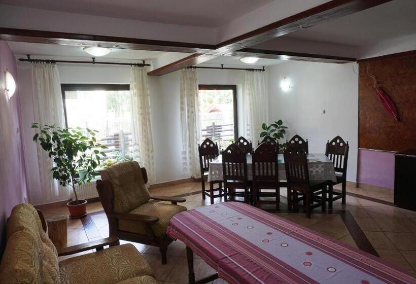 اتاق خانوادگی, Vila Nik Busteni