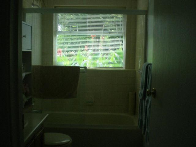 带大床的标准间, Island View B&b
