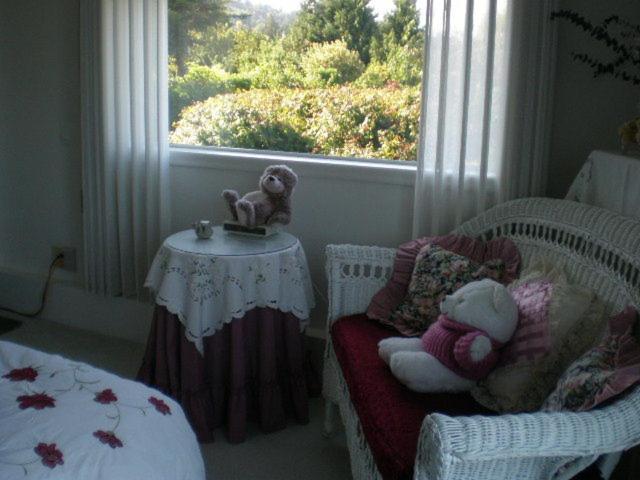 带海景的标准房, Island View B&b