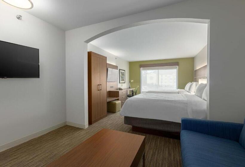 套房, Holiday Inn Express Hotel & Suites Binghamton University Vestal, An Ihg