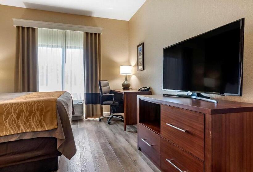 스위트 킹사이즈 침대, Comfort Inn & Suites
