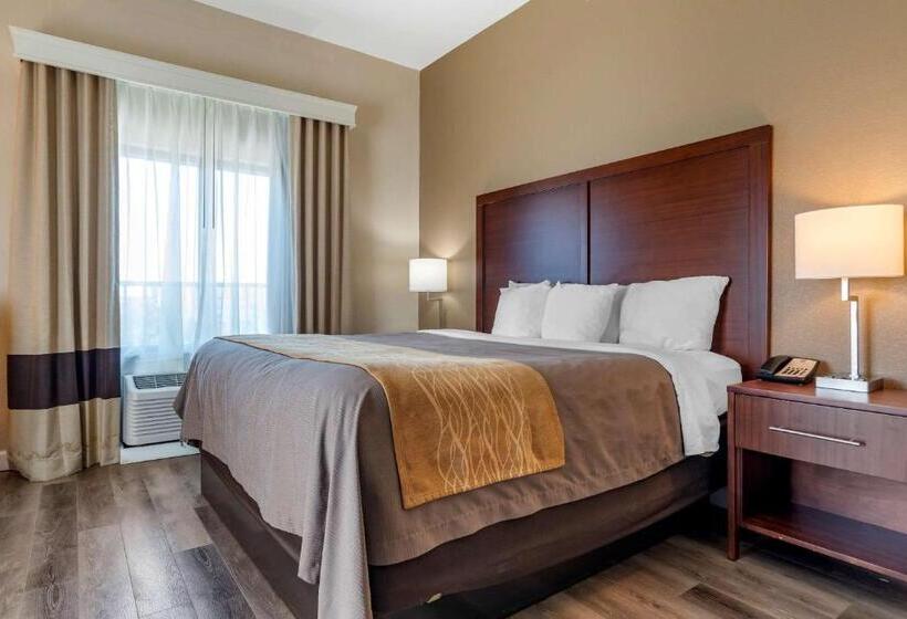 장애인을 위한 킹사이즈 침대 스탠다드 룸, Comfort Inn & Suites