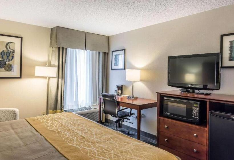 Стандартный Номер Кровать Кинг, Comfort Inn Sw Omaha I80