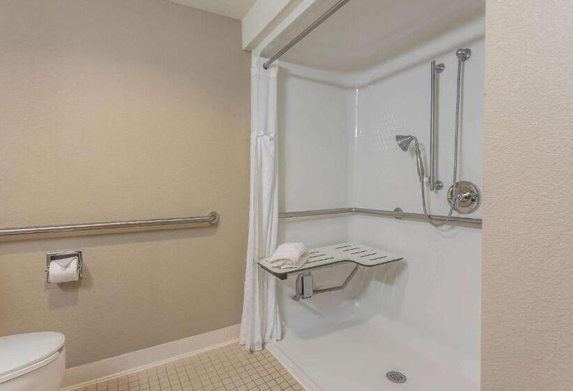 Номер Стандарт Адаптированный для Инвалидов, Comfort Inn Sw Omaha I80