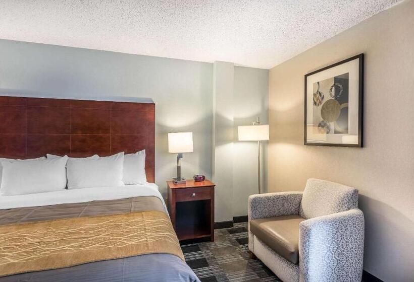Стандартный Номер Кровать Кинг, Comfort Inn Sw Omaha I80