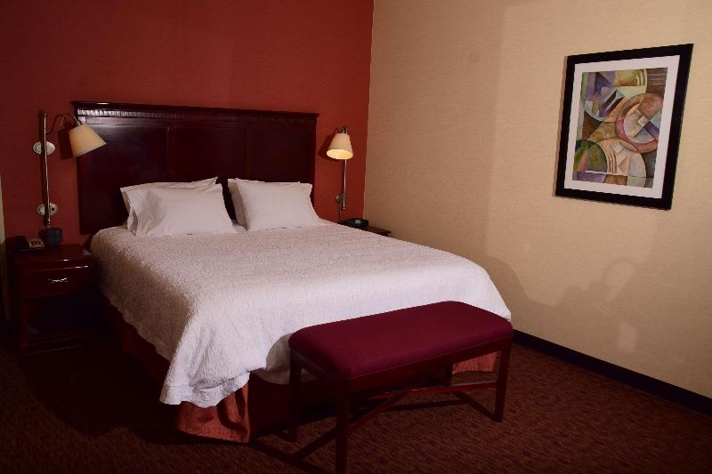 스탠다드 룸 킹사이즈 침대, Hampton Inn Indiana