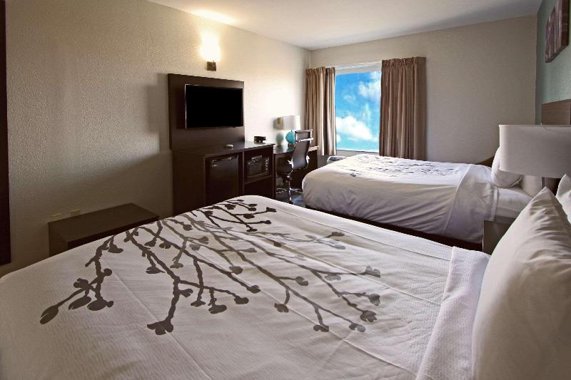 장애인을 위한 킹사이즈 침대 스탠다드 룸, Hampton Inn Indiana