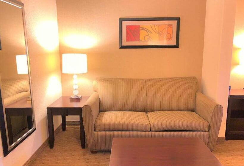 سوئیت با تخت بزرگ, Holiday Inn Express Fresno Northwest   Herndon, An Ihg