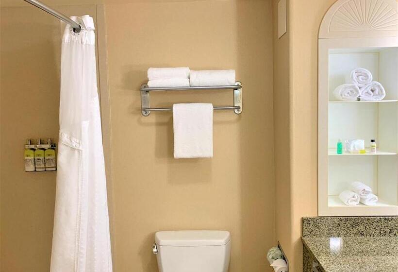 Номер Стандарт Кровать Кинг Адаптированный для Инвалидов, Holiday Inn Express Fresno Northwest   Herndon, An Ihg