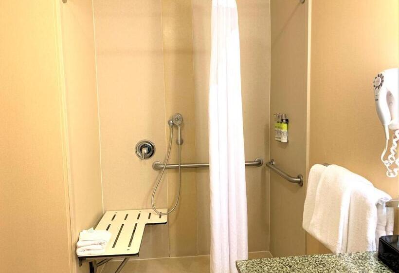 اتاق استاندارد با تخت بزرگ برای معلولان, Holiday Inn Express Fresno Northwest   Herndon, An Ihg